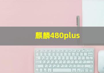 麒麟480plus