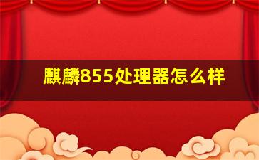 麒麟855处理器怎么样