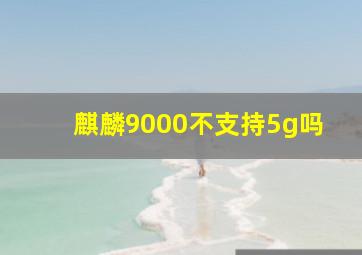 麒麟9000不支持5g吗