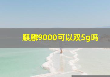 麒麟9000可以双5g吗