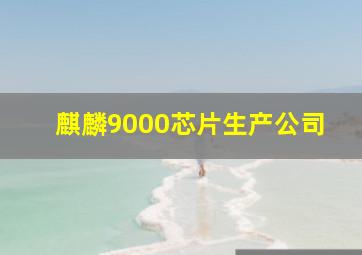 麒麟9000芯片生产公司