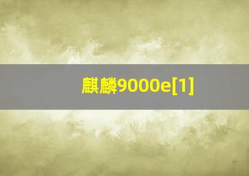 麒麟9000e[1]