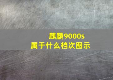 麒麟9000s属于什么档次图示