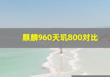 麒麟960天玑800对比