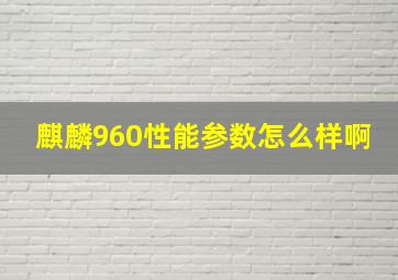 麒麟960性能参数怎么样啊