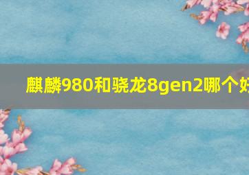 麒麟980和骁龙8gen2哪个好