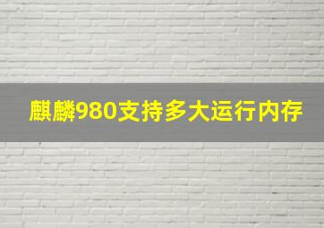 麒麟980支持多大运行内存