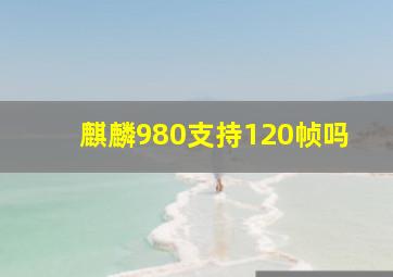 麒麟980支持120帧吗