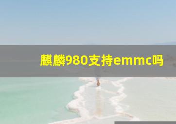 麒麟980支持emmc吗