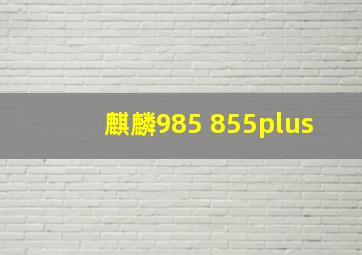 麒麟985 855plus