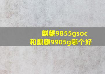 麒麟9855gsoc和麒麟9905g哪个好