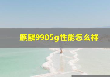 麒麟9905g性能怎么样