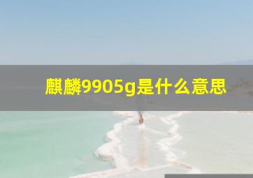 麒麟9905g是什么意思