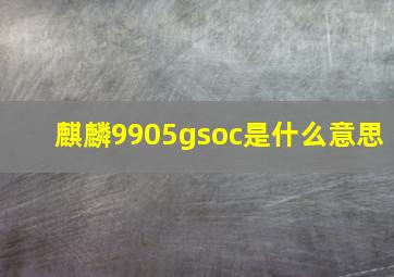 麒麟9905gsoc是什么意思