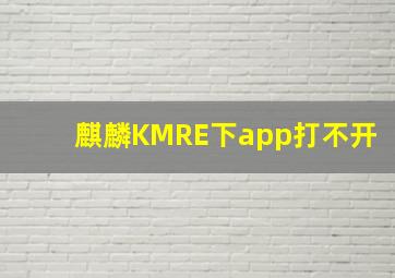 麒麟KMRE下app打不开