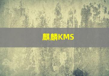 麒麟KMS