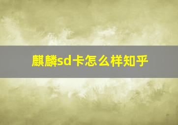 麒麟sd卡怎么样知乎