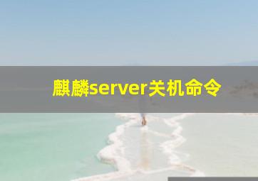 麒麟server关机命令