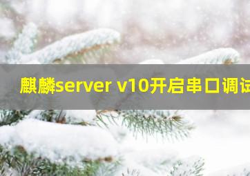 麒麟server v10开启串口调试