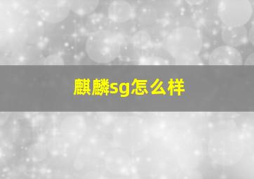 麒麟sg怎么样