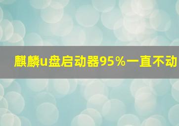 麒麟u盘启动器95%一直不动