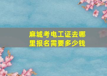 麻城考电工证去哪里报名需要多少钱