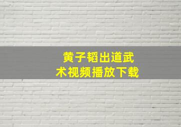 黄子韬出道武术视频播放下载