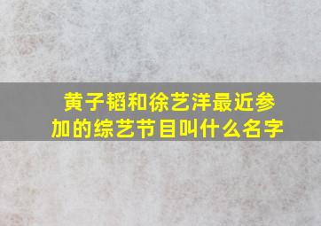 黄子韬和徐艺洋最近参加的综艺节目叫什么名字