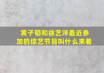 黄子韬和徐艺洋最近参加的综艺节目叫什么来着