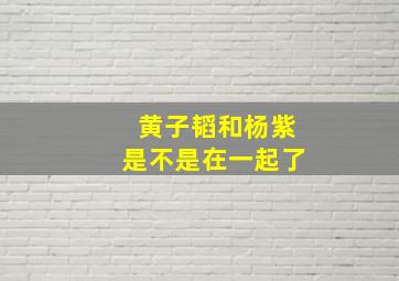 黄子韬和杨紫是不是在一起了