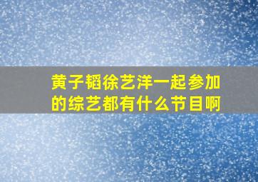 黄子韬徐艺洋一起参加的综艺都有什么节目啊