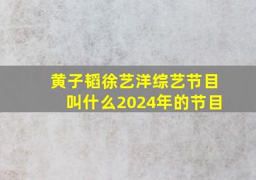 黄子韬徐艺洋综艺节目叫什么2024年的节目