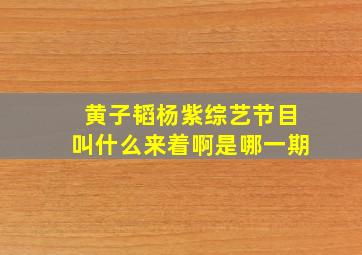 黄子韬杨紫综艺节目叫什么来着啊是哪一期