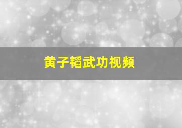 黄子韬武功视频