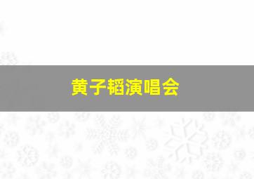 黄子韬演唱会