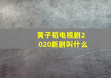 黄子韬电视剧2020新剧叫什么