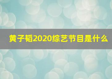 黄子韬2020综艺节目是什么