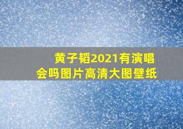 黄子韬2021有演唱会吗图片高清大图壁纸