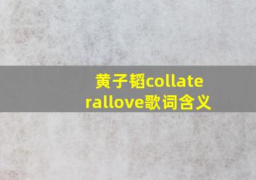 黄子韬collaterallove歌词含义