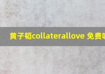 黄子韬collaterallove 免费听