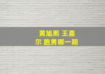 黄旭熙 王嘉尔 跑男哪一期