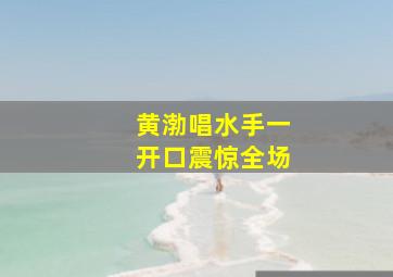 黄渤唱水手一开口震惊全场