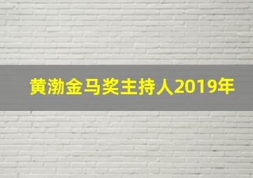 黄渤金马奖主持人2019年