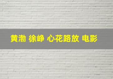 黄渤 徐峥 心花路放 电影