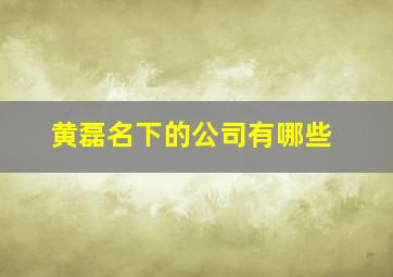 黄磊名下的公司有哪些