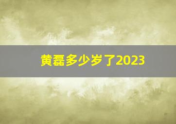 黄磊多少岁了2023