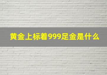 黄金上标着999足金是什么