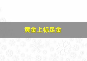 黄金上标足金