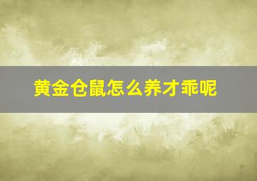 黄金仓鼠怎么养才乖呢