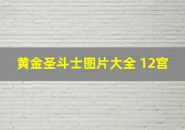 黄金圣斗士图片大全 12宫